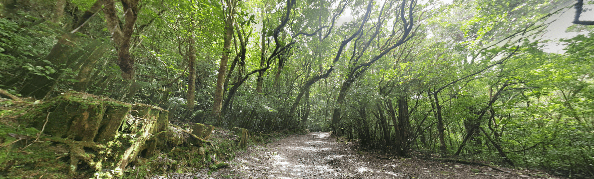 Entrada hacia el Parque Nacional Braulio Carrillo