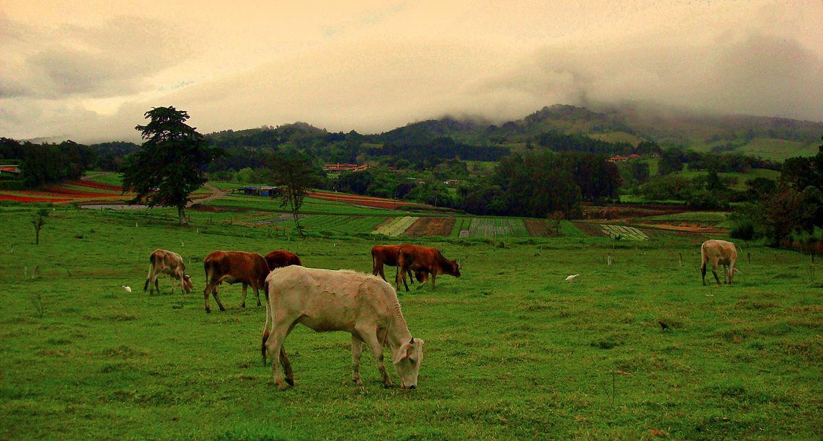 Santa Elena